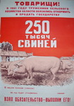 Н.х. 250 тысяч свиней